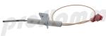 Buderus Ionisationselektrode 7100239 
