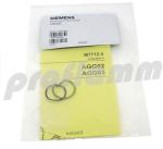 Siemens (Landis & Gyr) AGG 02 