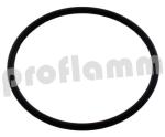 O-Ring für Filter WTC-OW 15-A 