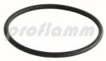 Honeywell O-Ring für Flansch 