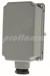Tauchthermostat 100 i 