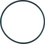 Viessmann O-Ring ø 54,0 x 3,0 mm 