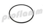 Rotex O-Ring für Brennerflansch 