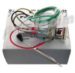 Rotex Temperaturschalter Wasser 110 