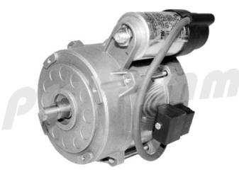 Elco Motor 110W 