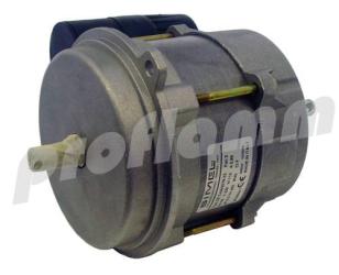 Rotex Motor 110W mit Kondensator 
