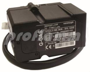 Weishaupt STE 4.5 Schrittmotor Gas 