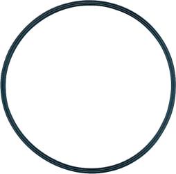 Viessmann O-Ring ø 54,0 x 3,0 mm 