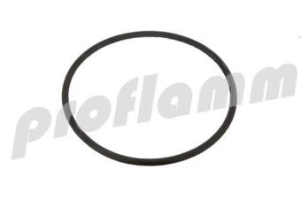 Rotex O-Ring für Brennerflansch 